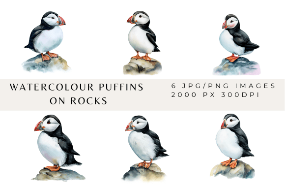 Bring Coastal Charm to Your Projects with Watercolour Puffin Images