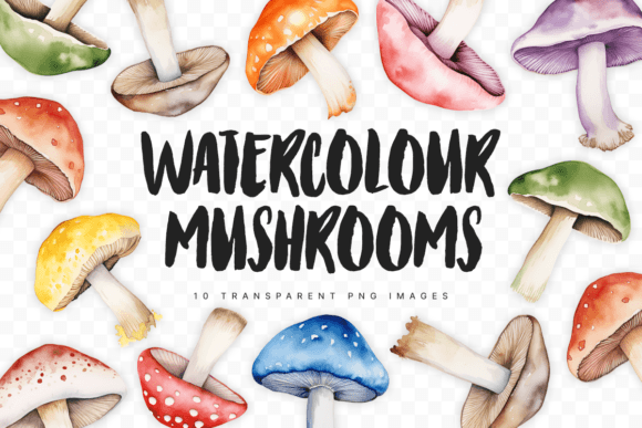 Enchanting Watercolour Mushroom Illustrations for Modern Design
